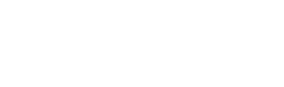 APSA - Adrenalinepowder ski academy